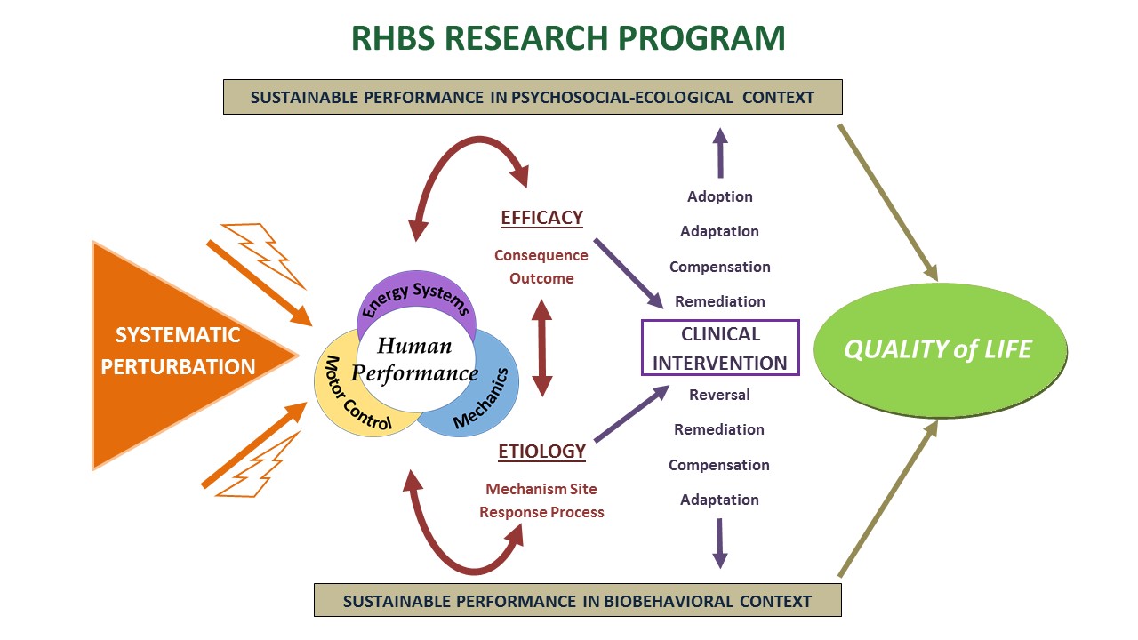 sustainable performance in biobehavioral context